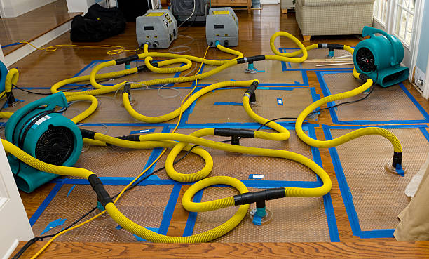 Professional Water Extraction technician working in Ball Ground, GA